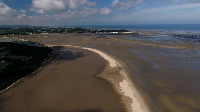 고창 갯벌 [문화재청 제공. 재판매 및 DB 금지]