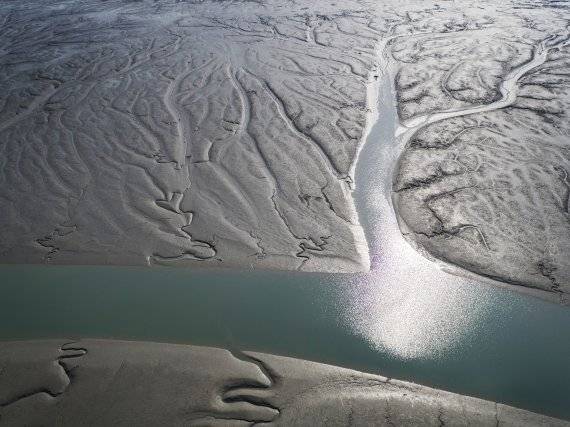 26일 제44차 세계유산위원회에서 '한국의 갯벌'(Getbol, Korean Tidal Flats)이 유네스코 세계유산으로 등재됐다. 사진은 신안갯벌의 모습.(신안군 제공) /사진=뉴스1