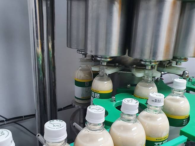 한강주조가 올 4월에 출시한 표문 막걸리가 줄 지어 병에 담겨지고 있다. /한강주조 제공