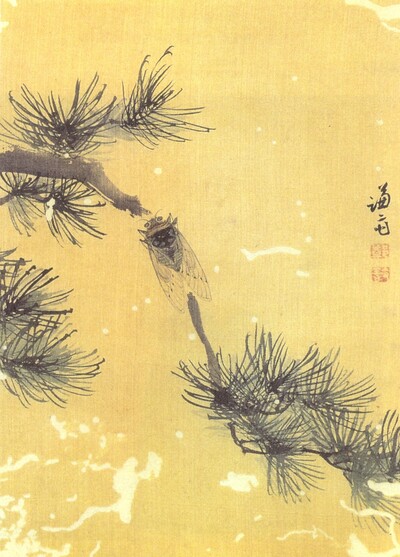 정선, <송림한선>(소나무 숲의 가을 매미), 18세기, 비단에 엷은 색, 21.3×29.5㎝, 간송미술관.