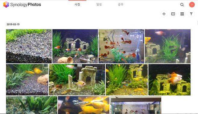 개인과 기업 모두에게 적합한 사진 관리 소프트웨어 '시놀로지 포토'