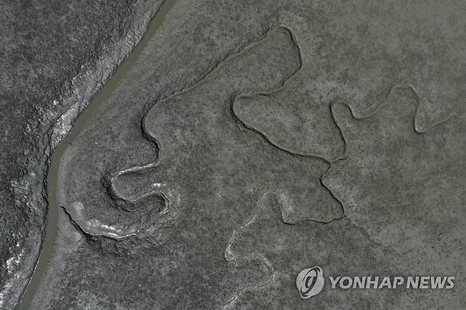 한국의 갯벌, 유네스코 세계유산 등재 [연합뉴스 자료]