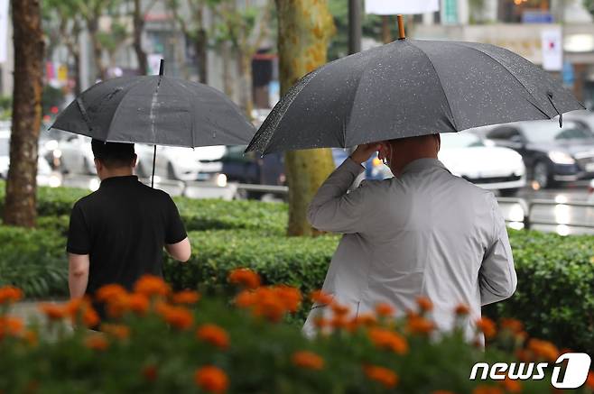 1일 충북과 세종지역은 대체로 흐리고 비가 내리겠다. /뉴스1 © News1