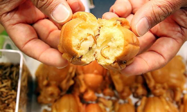 5일 오전 서울 강남구 코엑스에서 열린 곤충식품 페스티벌 및 심포지엄에서 업체 관계자가 갈색거저리를 넣어 만든 왕풍뎅이 모양의 빵을 선보이고 있다. 연합뉴스 제공