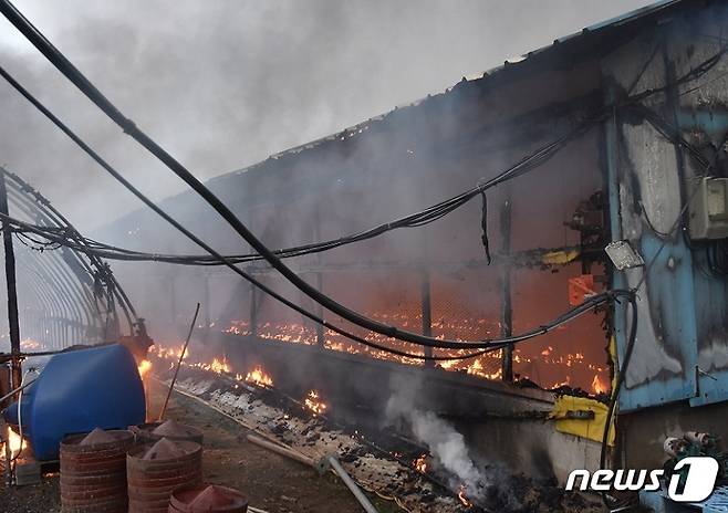 지난 6월 충남 공주시 신풍면 한 양계장에서 전기적 요인에 의한 화재가 발생했다.(충남소방본부 제공).© 뉴스1