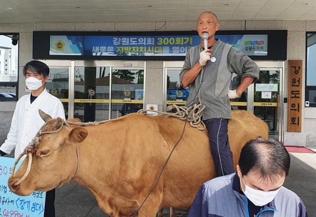 지난 5월 강원 춘천시 강원도의회 앞에서 열린 레고랜드 컨벤션센터 부지 매입안 통과 저지 기자회견에 소를 몰고 참석한 농민이 건립 반대를 촉구하고 있다. 연합뉴스