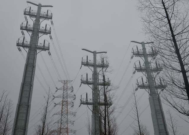 개성공단에 전기를 보내는 경기 문산변전소 송전탑의 모습 /서울경제DB