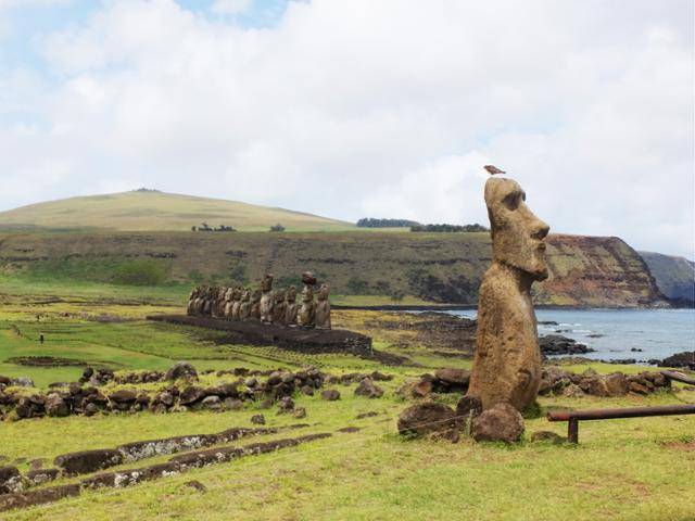 모양도 표정도 크기도 제각각인 모아이 석상. 미스테리여서 더 유명해졌다. ⓒ강미승