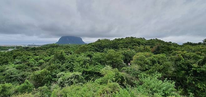 Sanbangsan is seen from the Hwasun Gotjawal’s observatory deck. (Kim Hae-yeon/The Korea Herald)