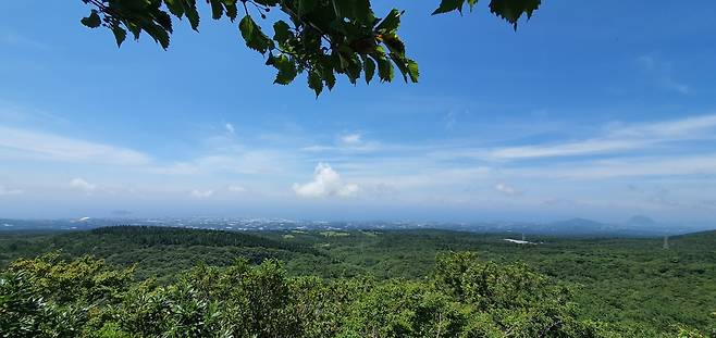 An aerial view of Jeju Island (Kim Hae-yeon/ The Korea Herald)