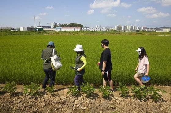 논의 토양은 영양분이 많고 벼의 성장 시기에 맞춰 물의 양도 조절하기 때문에 다양한 생물이 살기 좋은 환경이다.