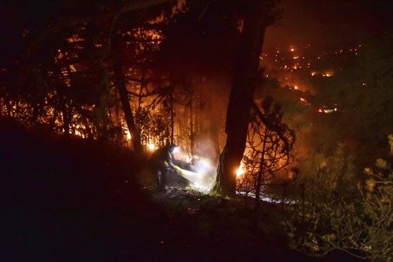 7일(현지시간) 터키 무글라 인근 센야일라 마을에서 한 남성이 물을 이용해 나무에 붙은 불을 끄고 있다. [AP=연합뉴스]