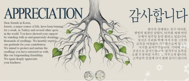 터키 비영리단체 환경단체연대협회(CEKUD)는 공식 소셜미디어와 홈페이지에 묘목을 선물해준 것에 대한 감사의 메시지를 지난 7일 한글과 영문으로 올렸다. /CEKUD 공식 홈페이지
