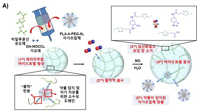 일산화질소 포집 및 하이브리드 하이드로젤 모식도.[포스텍 제공]