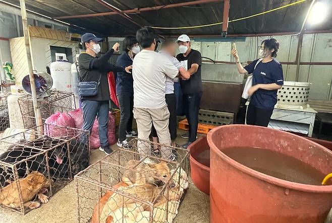 불법도살 현장이 드러나자 저항하는 도살업자와 이를 제지하는 활동가들.