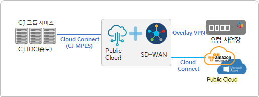 SD-WAN 방식의 글로벌 통신 거점 구성 [사진 제공 = CJ올리브네트웍스]