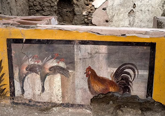 2000년 전 고대 로마 도시인 폼페이에서 발굴된 서민 식당. 가난한 사람들이 저렴하게 한 끼를 해결할 수 있었던 곳으로, 당시 사람들의 식문화까지 짐작하는데 도움을 준다. EPA 연합뉴스