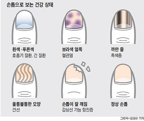 사진=조선일보DB