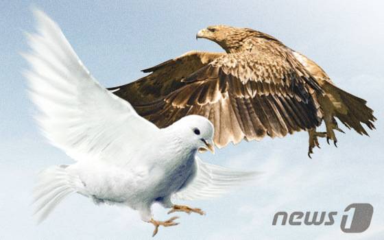 © News1 이은현 디자이너