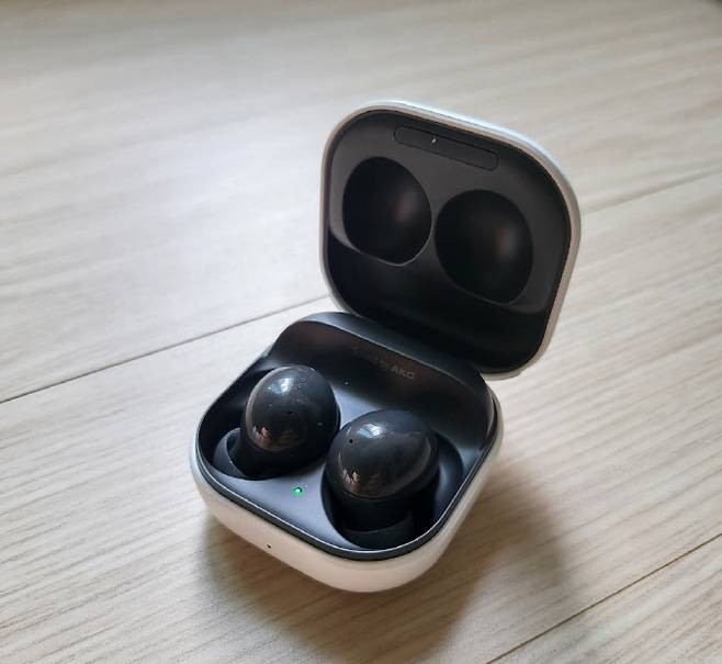 갤럭시 버즈2. (사진=김정유 기자)