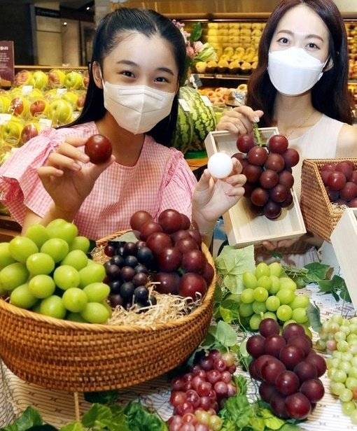 적색의 포도가 루비로망 [사진출처 : 신세계백화점]