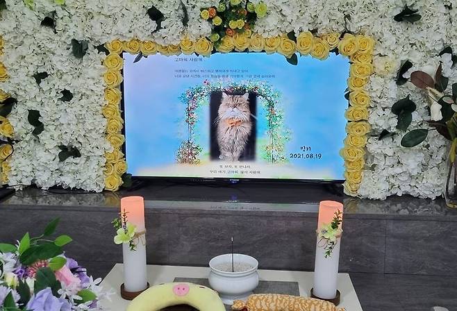 밍키의 장례식 모습. 김재영 원장 페이스북