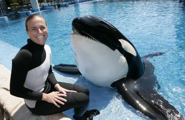 2010년 2월 씨월드 올랜도에서 수컷 범고래 ‘틸리쿰’(오른쪽)에게 물려 사망한 베테랑 조련사 돈 브랜쇼(40, 왼쪽).