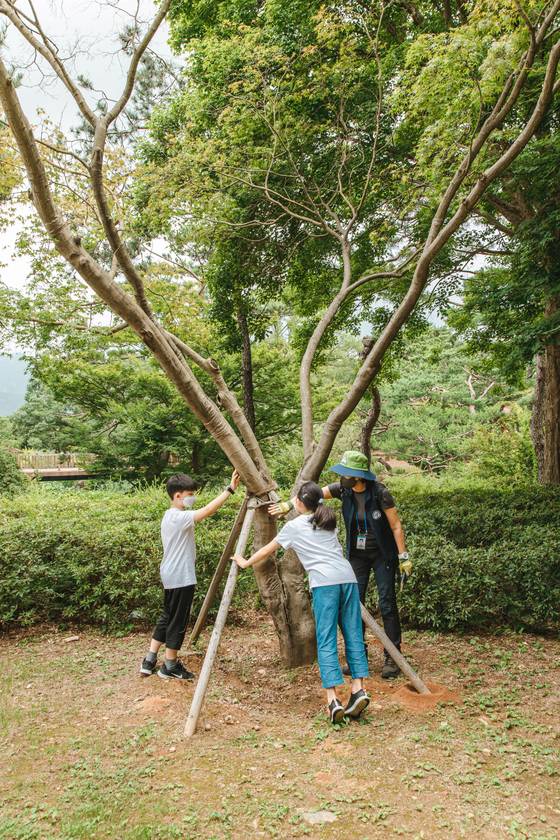 지지대에 의지해 서 있는 단풍나무를 살펴보는 소중 학생기자단과 최은경 숲 해설가. 지지대는 뿌리가 약한 나무가 똑바로 설 수 있도록 돕는다.