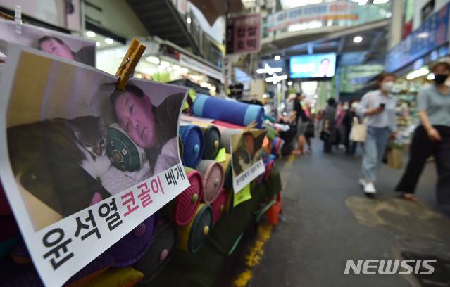 [대구=뉴시스] 이무열 기자 = 23일 오후 대구 중구 서문시장 한 침구류 가게에서 국민의힘 대권 주자인 윤석열 전 검찰총장을 모델로 한 이른바 ‘윤석열 베개’가 판매되고 있다. 2021.08.23. lmy@newsis.com