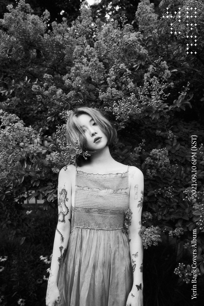 백예린 선물