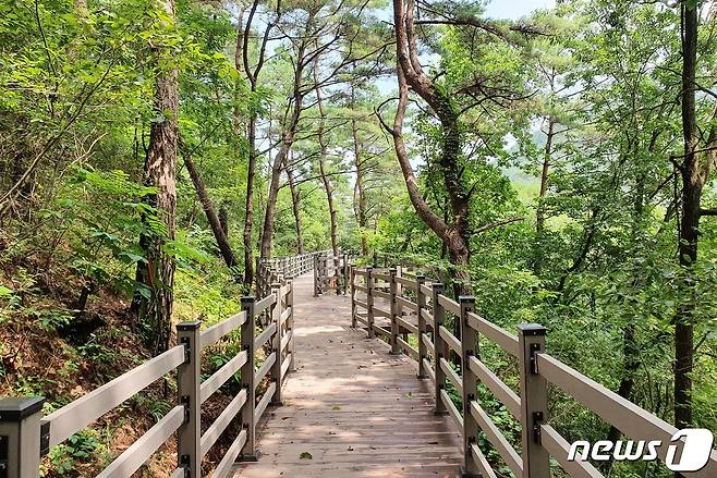 괴산군 성불산 산림휴양단지 치유의 숲길.(괴산군 제공)© 뉴스1