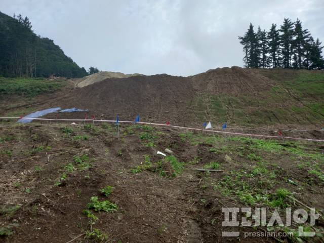 ▲최근 경북 울릉군 울릉읍 도동리 404번지 일대 야산에서 LPG배관망사업 공사 중 분묘 11기를 훼손해 논란이 일고 있다. ⓒ프레시안(황진영)