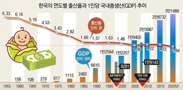 그래픽 강동영 기자 kdy184@donga.com