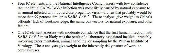 미국 코로나19 기원 재조사 보고서 요약문의 일부분. 자연 유래설과 실험실 유출설이 모두 언급돼 있다.