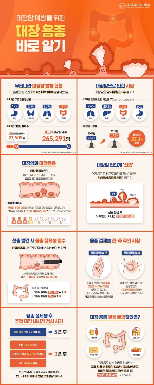 대한소화기내시경학회가 대장암 조기 발견 및 예방을 위한 ‘장(腸)주행 캠페인’의 일환으로, 대장용종에 대한 정보를 알기 쉽게 정리한 ‘대장용종 바로 알기’ 인포그래픽/대한소화기내시경학회 제공