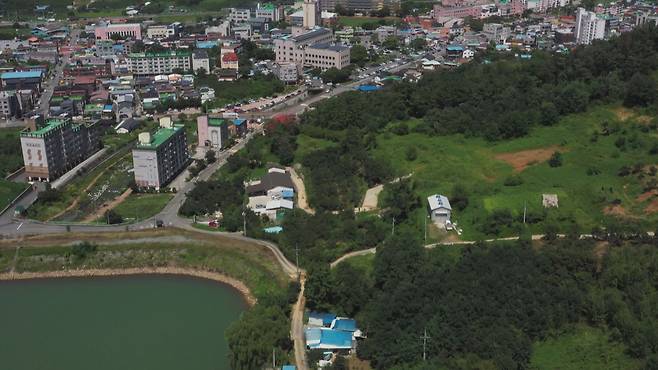 마을 야산을 가로지르며 난 도로,  공무원 네 명이 주민숙원사업을 신청해 건설됐다.