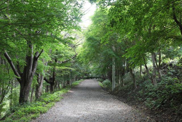 아픔의 역사를 딛고 치유의 숲으로 되살아난 너릿재 옛길. ⓒ박준규