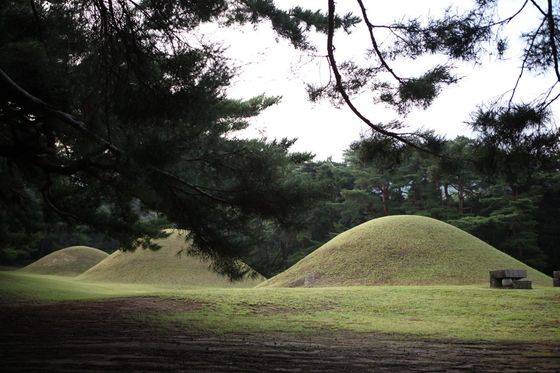 소나무 숲에 둘러쌓여 아늑힌 자리잡은 경주 삼릉. [사진 조남대]