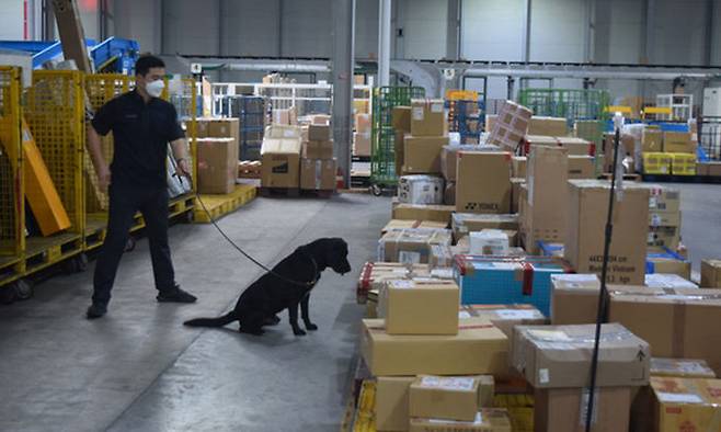 인천세관 직원과 마약 탐지견이 통관 대기 중인 화물들 사이를 지나가며 마약이 숨겨져 있는지 찾고 있다.