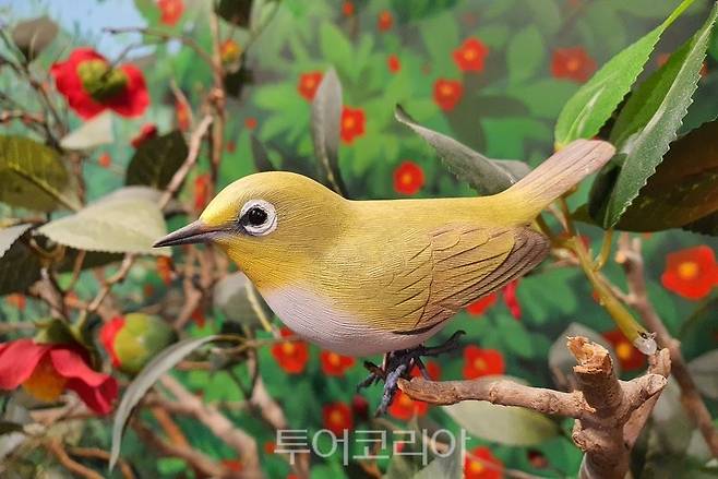 '흑산도 동박새'의 동박새 목각