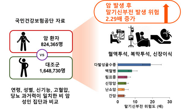 암 환자에서 말기신부전 발생 위험 증가.