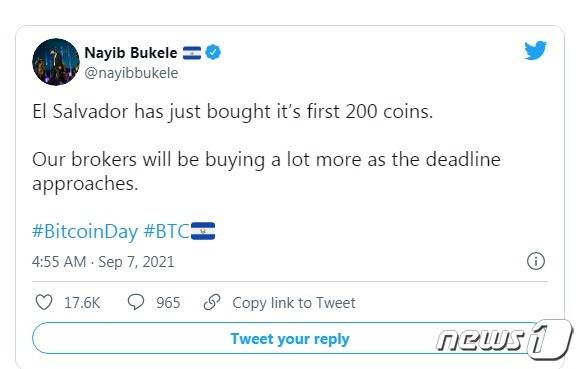 부켈레 대통령 트위터 갈무리