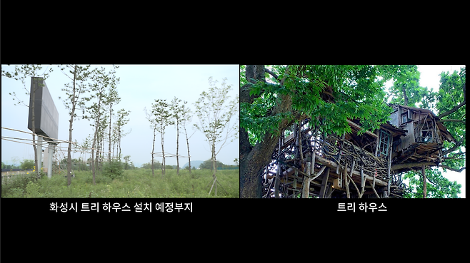경기도 화성시의 트리하우스 설치 예정부지(왼쪽 사진) 현장에는 일반적인 트리하우스(오른쪽 사진)를 지을 수 있는 나무가 없다.