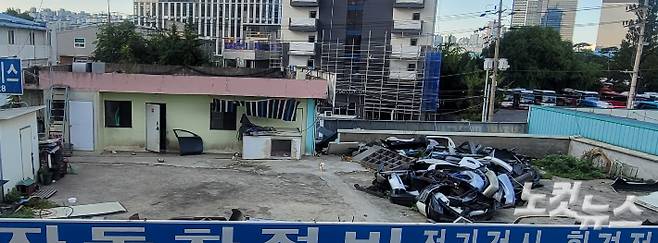 경기도 수원시 영통구에 위치한 A씨의 사업장 건물 옥상에는 개 10여 마리가 집단으로 생활을 하고 있다. 박창주 기자