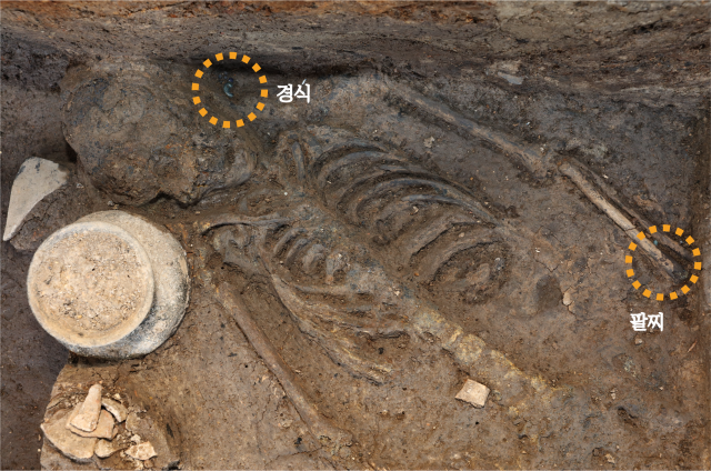 신라 왕성인 경주 월성 서성벽에서 제물로 바쳐진 것으로 보이는 신라 여성의 인골이 최근 발견됐다. 키 135㎝의 왜소한 여성의 목과 팔목에서 곡옥으로 만들어진 유리제 장신구도 함께 발굴됐다. /사진제공=국립경주문화재연구소