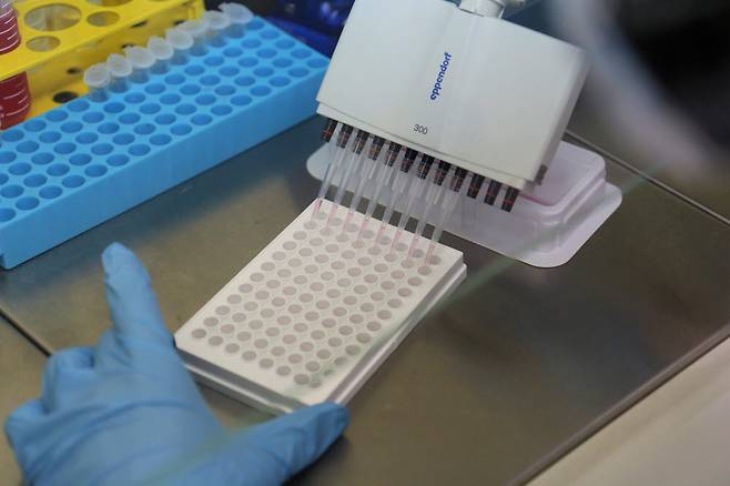 연구팀이 엑토-5-뉴클레오티다제 억제물질 효능을 확인하기 위한 세포배양실험을 수행하는 모습