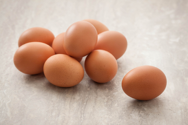 식중독의 주범식품으로 꼽히는 달걀/클립아트코리아 제공