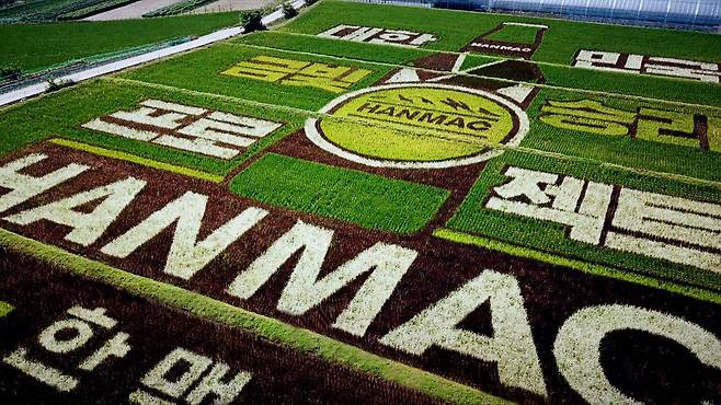 오비맥주 한맥의 '필드아트'