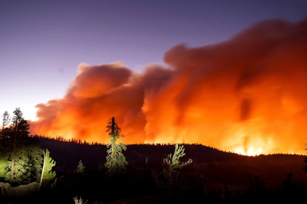 미국 캘리포니아주 엘도라도 국유림에서 8월29일(현지시간) '칼도'로 이름 붙은 대형 산불이 번지면서 화염과 연기가 치솟고 있다. 미국 서부에서 최근 대형 산불이 계속되는 가운데 캘리포니아에서 가장 위협적인 산불은 엘도라도 카운티에서 2주일 동안 확산하는 '칼도 산불'이다. /사진=AP, 연합뉴스