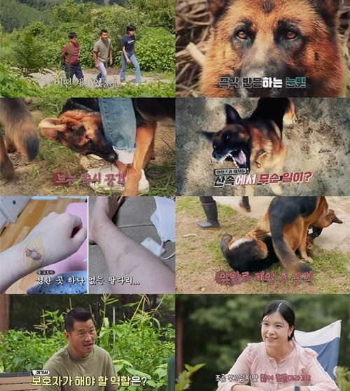 사진=KBS2 ‘개는 훌륭하다’